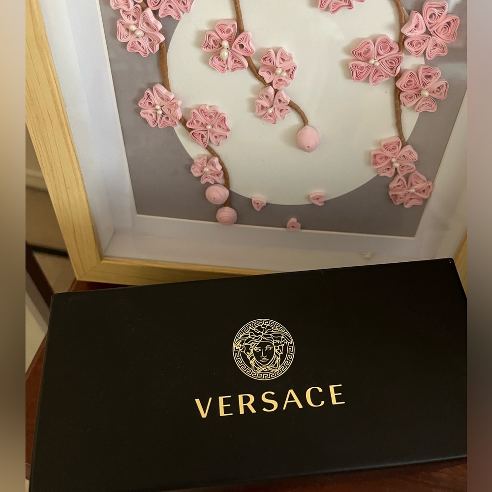 Versace sunglasses (brand new)